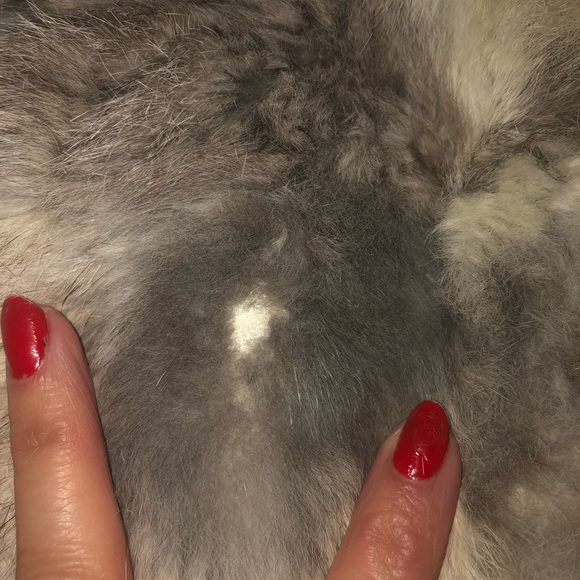 vintage 60s 70s 80s 90s fur coat jacket in excellent condition glamrock - Picture 8 of 8